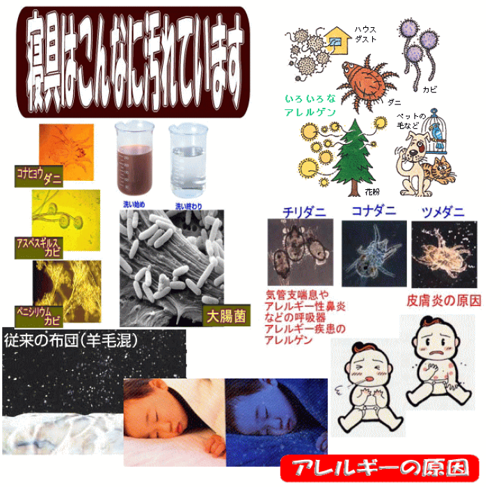 楽天市場】ワンダフルDayポイント3倍/病院ホテルで使われている 敷布団 シングル シングルロング 日本製 しき布団 抗菌 防ダニ 洗える 敷き布団 おすすめ アレルギー 腰痛 軽量 極厚い 軽い 敷ふとん しきふとん 三つ折り 固綿 国産 日本製 硬め 固め マットレス 送料無料 ... 楽天市場】ワンダフルDayポイント3倍/病院ホテルで使われている 敷布団 シングル シングルロング 日本製 しき布団 抗菌 防ダニ 洗える 敷き布団 おすすめ アレルギー 腰痛 軽量 極厚い 軽い 敷ふとん しきふとん 三つ折り 固綿 国産 日本製 硬め 固め マットレス 送料無料 ...
