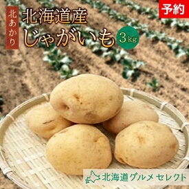 北海道産 産地直送 野菜 グルメ 北あかり じゃがいも ジャガイモ サラダ 健康 内容量 3キロ
