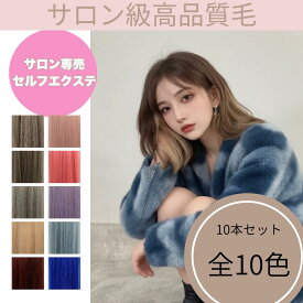 インナーカラー エクステ セルフキット 52cm×10本セット 最高級人毛 シールエクステ 全10色 ハイポーション インナーカラー イヤリングカラー セルフエクステ エクステンション ストレートロング レミーヘア イメチェン