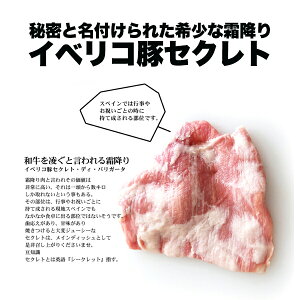 イベリコ豚赤身のカルビ&霜降りのセクレトディバリガータセット!イベリア半島原産種血統75%以上のイベリコ豚となります。【2010年楽天グルメ大賞豚肉部門受賞】【800g】【冷凍のみ】