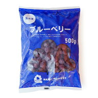 【生活応援！】 ヨーグルトやアサイーにも！ カナダ産 冷凍ブルーベリー 【500g】【冷凍のみ】 ブルーベ…