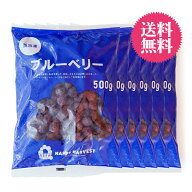 【生活応援！送料無料】 ヨーグルトやアサイーにも！ カナダ産 冷凍ブルーベリー 【500g×6個】【冷凍の…