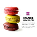 【数量限定販売！】ファーストクラスやカンヌ映画祭で使用！Magm社の冷凍マカロン6個セット【6個入り】【冷凍のみ】 …