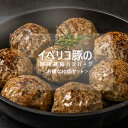 【在庫限りの24％OFF！】 イベリコ豚ハンバーグ10個セット オレイン酸豊富な脂身が美味しい！【90g×10個】【冷凍のみ】 ハンバーグ イベリコ豚 【CK】