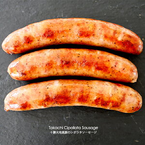 yܖ󂠂30OFFIzW[V[ȏ\n؂̎RnV|^\[Z[W y1kgzyⓀ̂݁z \[Z[W ECi[ H y  BBQ yCKz