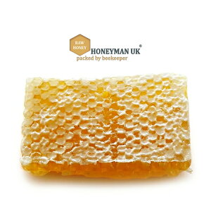 y󂠂izXtVR݂͂I AJVA [}jAYR[nj[ y200gzy퉷/Sxщz ݂͂ I R[nj[ pP[L `[Y Mtg v[g