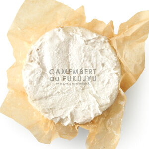 {̌ւ鏃ċuvōtXYJ}x[IuCamembert au FUKUJYUvy150gzy①̂݁z C ܂ { J}x[ `[Y Jr `[Y  