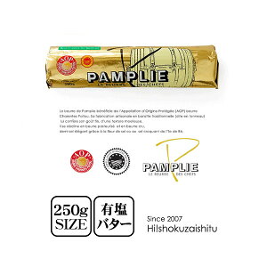 Vg|gD A.O.P pv[ Lyo^[ 250gyⓀ̂݁zlC p g[Xg  ޗ َq