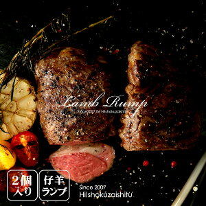 y400g`499gTCYz1N̎erIW[V[ȐԐg\ NZYvXe[Ly400g`499gzyⓀ̂݁z  qr WMXJ _W nbT  e [Xg