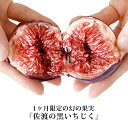 【季節限定品！今年も始まります】佐渡島小木産の超希少品種『黒イチジク』フィグ・ド・オギをフレッシュのままで！糖…