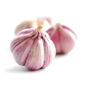 XyCY I.G.P.Fi lbgAz[hiɂɂjy1kgzy퉷/Sxщz ɂɂ ɂɂ jjN Az[h