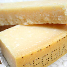 ザネッティ社製 チーズの王様 パルミジャーノ レッジャーノ DOP 24ヶ月熟成【100g】※多少前後する場合が御座います。】 【冷蔵/冷凍可】【D+2】
