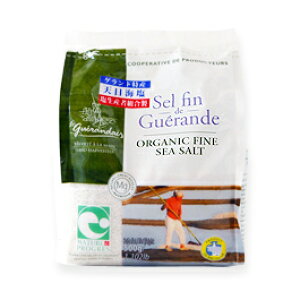 Qh̉ Zt@ חy500gzy퉷/Sxщz  Qh 