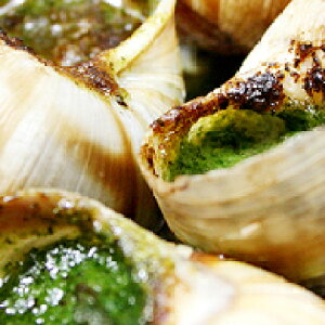 tXYo^[GXJSy6zyⓀ̂݁z