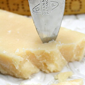 ザネッティ社製 パルミジャーノレッジャーノ 36ヶ月熟成 ストラヴェッキォ チーズの王様【約100g】【冷蔵/冷凍可】