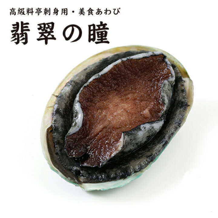 楽天市場 送料無料 南オーストラリア産 活冷凍あわび グリーンリップ 1kg 冷凍のみ D 1 父の日 ギフト プレゼント お返し お中元 パーティ ハイ食材室