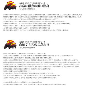 【1000円OFFクーポン発行&送料無料】イベリコ豚赤身のカルビ&霜降りのセクレトディバリガータセット!イベリア半島原産種血統75%以上のイベリコ豚となります。【2010楽天グルメ大賞豚肉部門受賞】【800g】【冷凍のみ】