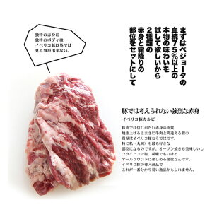 【送料無料】4年ぶりの解禁!イベリコ豚増量計画集大成!ドカンっと合計1200gでお届け!イベリコ豚の赤身と霜降りのセット800gとイベリコ豚しゃぶしゃぶ200g×2枚でお届けいたします!イベリア半島原産種血統75%以上のイベリコ豚となります。【800g】【冷凍のみ】