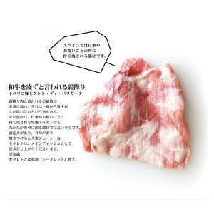 イベリコ豚最高ランクベジョータ!赤身のカルビ&霜降りのセクレトディバリガータセット!イベリア半島原産種血統75%以上のイベリコ豚となります。【2010楽天グルメ大賞豚肉部門受賞】【800g】【冷凍のみ】