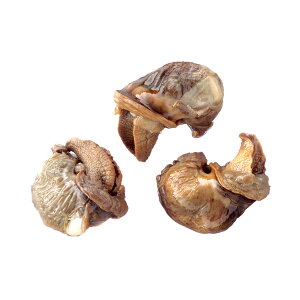 tZ[YEhEKXgm~[ NVbN GXJS r 6_[Xy500gz y퉷/Sxщz