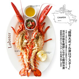 Lサイズ！ぎぎゅッと詰まった身が堪らない！カナダ/プリンスエドワード島産：ボイルオマールホール ネット入り(約350g-400g)【冷凍のみ】 ロブスター オマール エビ 海老 ギフト