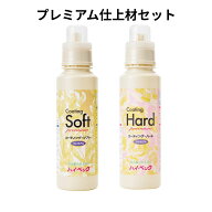 【365日出荷対応】 ハイベックプレミアム 仕上剤2本セット CS・CH 各500g 繊維の回復剤 最強配送 コーテ…