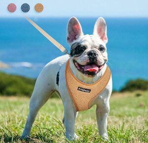 ペット用ハーネス  リードセット  小型犬 中型犬 hibiセレクト