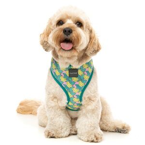 \tgn[lX gsJoii  qD 킢  Ȃ EȂ ^ ^ ^ q