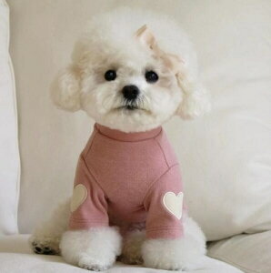 ���^�� ���G�蔲�Q�n�[�g�����Ƃ낯��J�b�g�\�[ �G���{�[�p�b�` �g�C�v�[�h�� �`���� �G�� �r�[�O�� �{�X�g���e���A