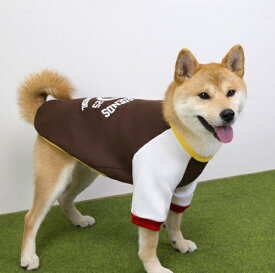 裏起毛あったかラグランカラフルトレーナー 柴犬 中型犬 雑種 ビーグル ボストンテリア 秋冬 高齢犬 病気 シニア犬 着せやすい 抜け毛対策 乾燥予防 洗濯OK