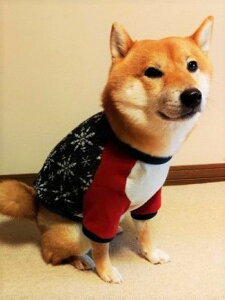 ^ Č@r[O  @킢@@TCgiCg ̌ OJbg\[ J[ubNV[Y