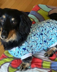 _bNXth@R[M[  @@ds@X@N[ŃX^CbV yMhhhhhhhhh xAVJbg\[