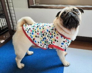 t`uhbO  }[uYzCgT pO  tu tĕ  킢 ₷