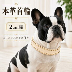 犬 首輪 犬の首輪 本革 2cm幅レザー ゴールドスタッズ付き 丈夫 国産 おしゃれ
