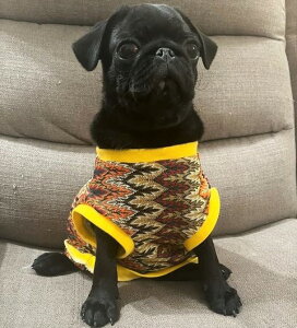 t`uhbO@ @ā@VV@lCeBup^[Jbg\[