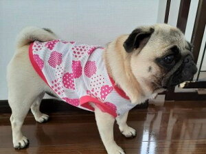 |`jbg I[hbgJbg\[ TVc V[YsN t`uhbO  tu  Y X t