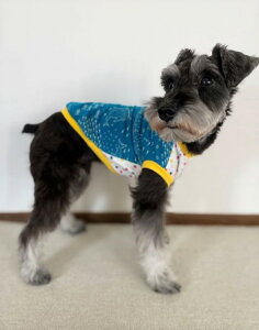 ~j`A_bNX@ R[M[ @[C@`̐͂ȂE`@fB[vI[VJbg\[