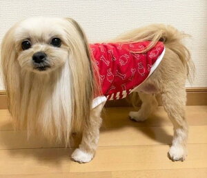 `   gCv[h   jNjNj[N ƂȂ荜ƂȂ@p[݂ȂJbg\[