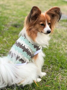 `@ gCv[h@ @^ @[L[@~gACXN[@X[XjbgJbg\[