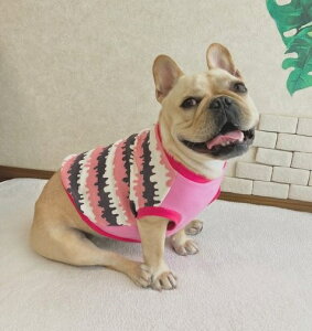 t`uhbO  Xgx[ACXN[@X[XjbgJbg\[ @tu@tā@X@tuTCY@pO