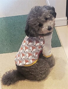 `@ gCv[h@ [L[ ^  Xgb`~j Lclfrom tX {W[Jbg\[