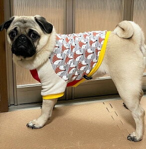 ^ ^  t`uhbO@ Xgb`~j Lclfrom tX {W[Jbg\[