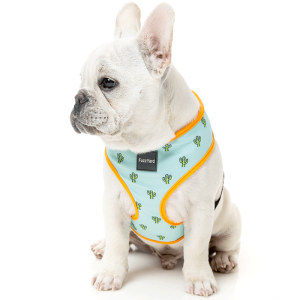 \tgn[lX   qD 킢  Ȃ EȂ ^ ^ ^ q