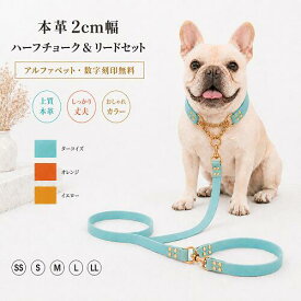 本革 カラーヌメ リード ハーフチョーク首輪セット 中型犬 大型犬 おしゃれ かわいい 高級 ブランド 名入れ 迷子札 カラーヌメ 2cm幅　ターコイズ