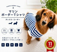 まとめ買い9%OFFクーポン 通年使える定番アイテム サラサラ肌触り ミニチュアダックスフンド 服 ダックス…