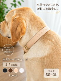 お名前 数字刻印無料 本革ハーフチョーク 首輪 大型犬 中型犬用2.5cm幅 おしゃれ 国産 レザー 丈夫