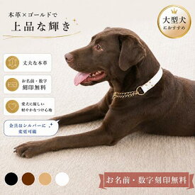 刻印無料 ハーフチョーク首輪 大型犬 超大型犬用 高級サドルレザー3cm幅 国産 おしゃれ 丈夫 インスタ映え