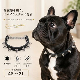 ハーフチョーク 首輪 小型犬 本革 スクリューバックスパイク付き 1.5cm幅 インスタ映え おしゃれ 国産