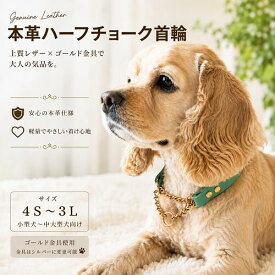 お名前 数字刻印無料 本革ハーフチョーク 首輪 1.5cm幅 ターコイズカラーレザー 日本製 国産 おしゃれ