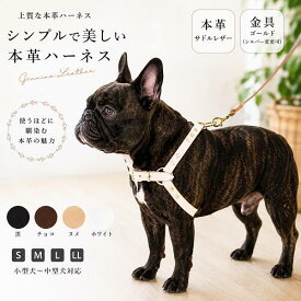 犬 ハーネス 小型犬 本革 サイズ調節タイプ 小型犬 本革 レザーのハーネスとリードセット 1.5cm幅 中型犬 日本製 インスタ映え 国産 おしゃれ フレブル パグ チワワ トイプードル